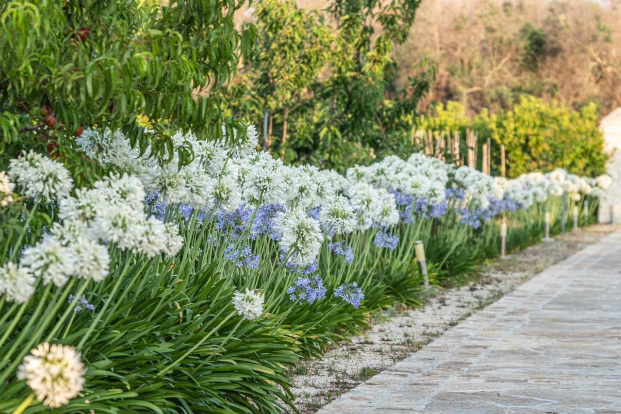 Agriturismo Panacea 圣凯撒利亚温泉 外观 照片