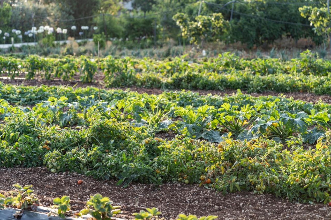 Agriturismo Panacea 圣凯撒利亚温泉 外观 照片